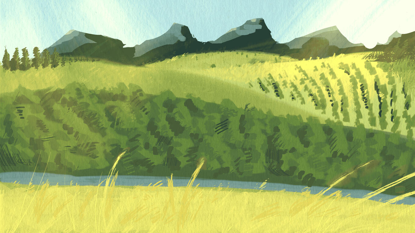Italy (Digital)