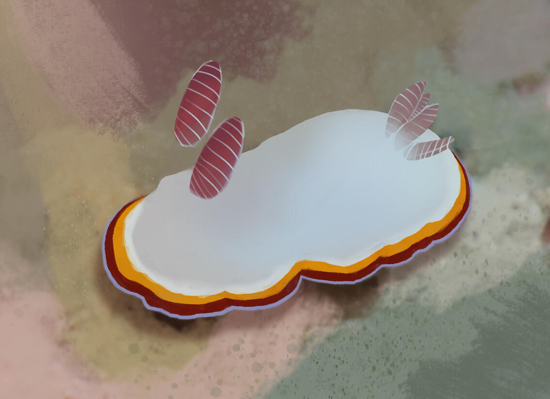 Sea Slugs (Digital)